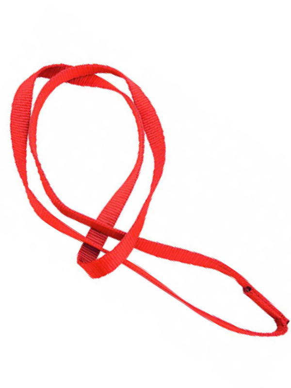 Anneau d'ancrage en sangle